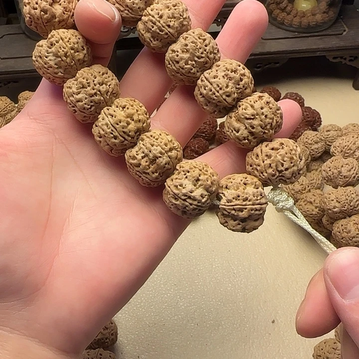 吊坠金刚菩提金刚菩提龙牙梅花22超头