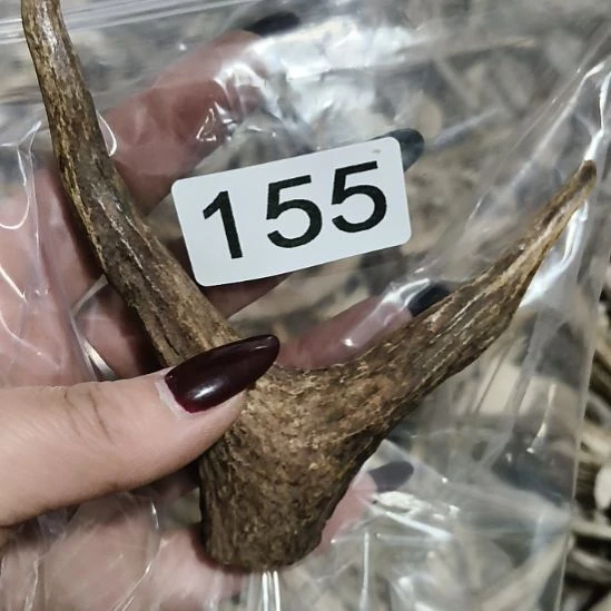 禁***区鹿角鹿角鹿角鹿角鹿角鹿角