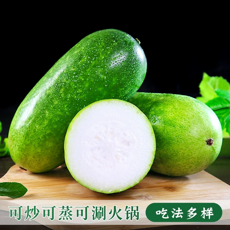 广西小冬瓜春绿小毛冬瓜新鲜水果冬瓜现摘