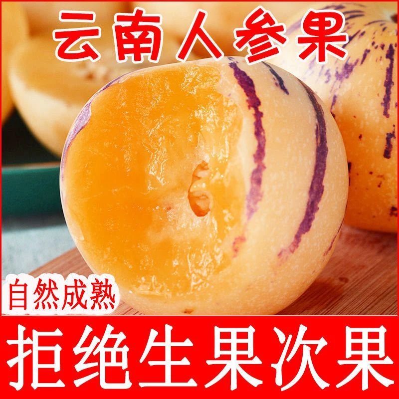【树熟人参果】云南石林人参果树熟黄肉圆果果清甜多汁当季新鲜水果
