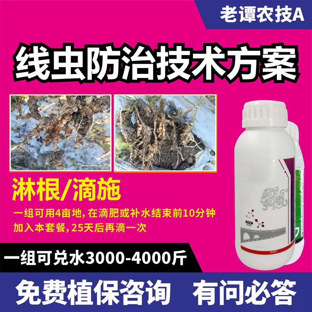 老谭农技A线虫防治技术方案淋根滴施蔬菜果树根结线虫