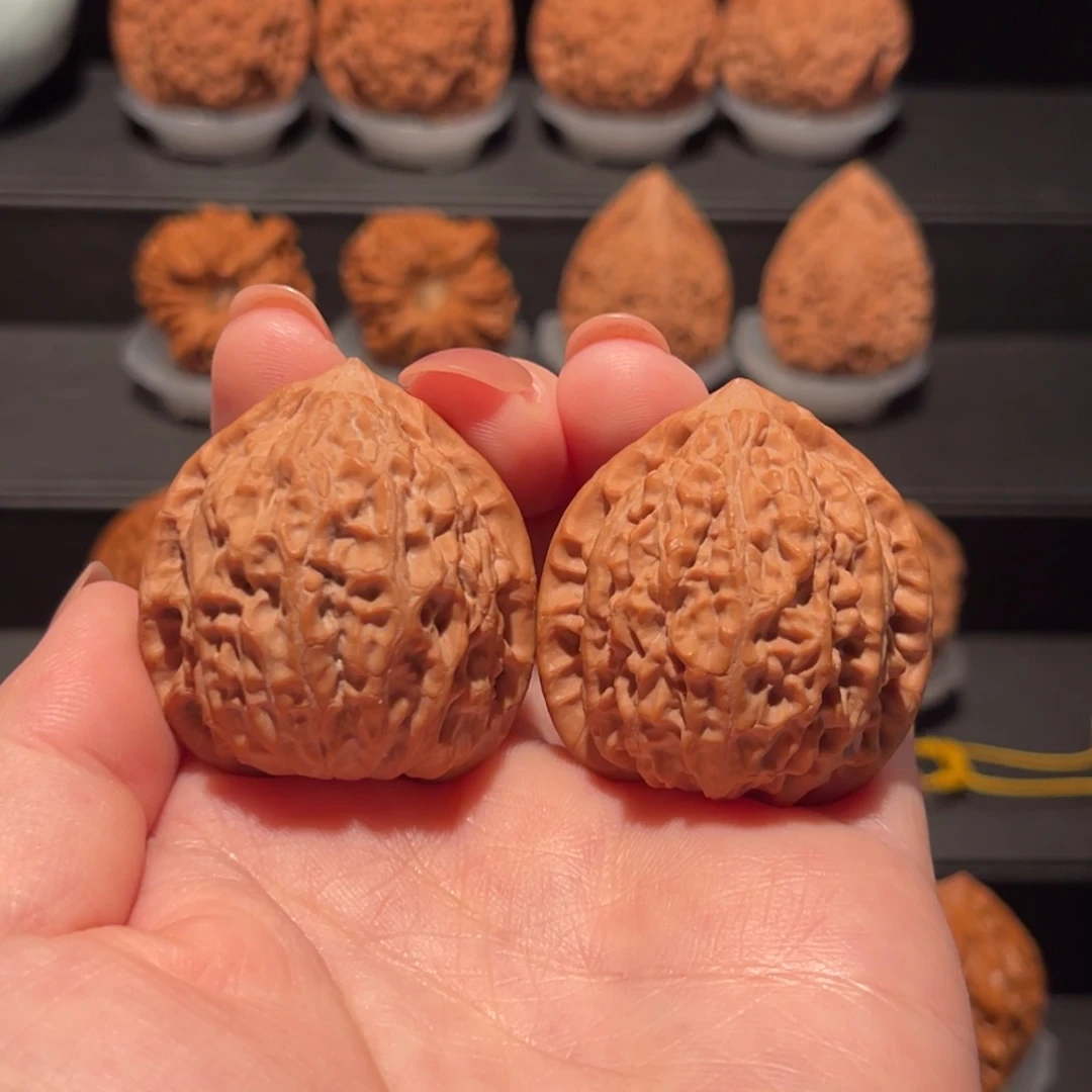 金牛36精品，全品377