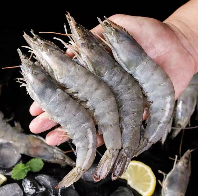 20/30大号规格盐冻海虾活虾急冻发货1斤10-15只 35只左右/3斤