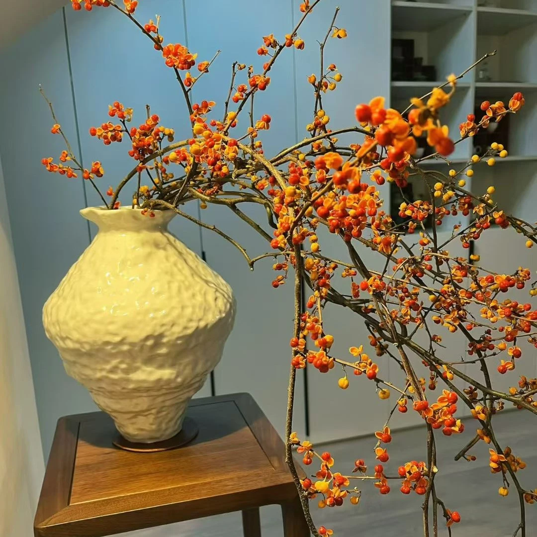 秋色高端小众南蛇藤客厅树枝鲜切枝