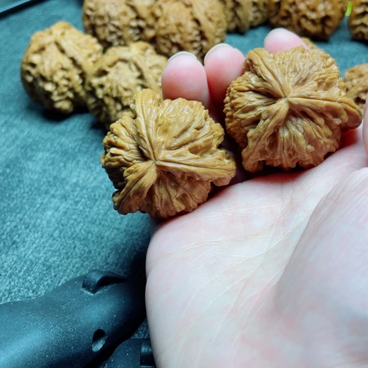 阿***头手工三棱白狮子三棱