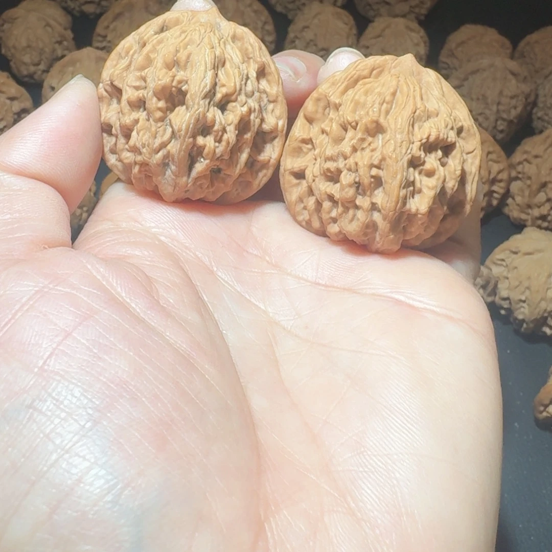 木质类虎头40全品