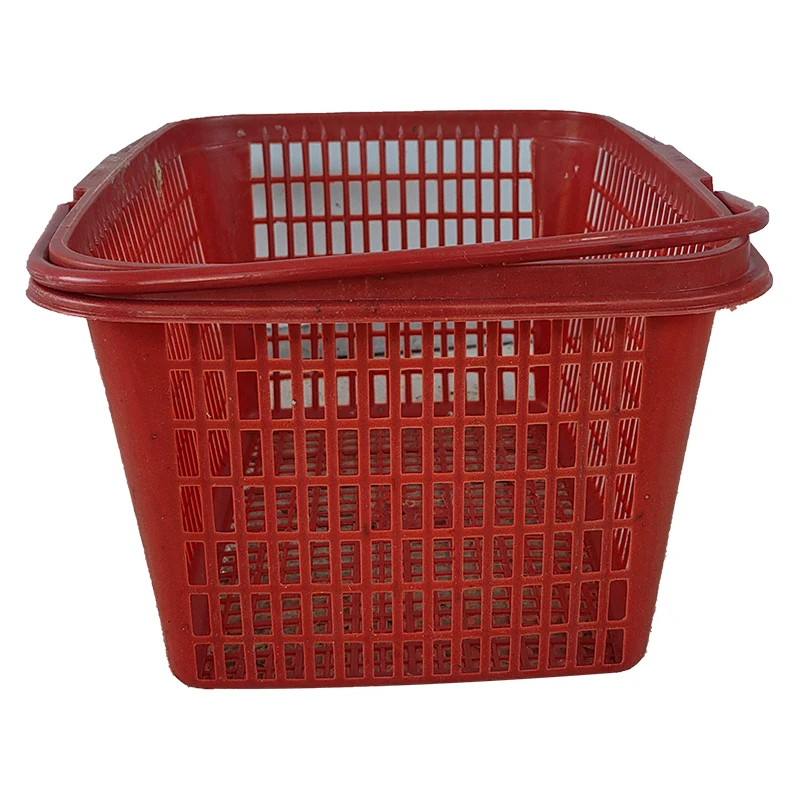 表妹推荐   腾欣狮头专用塑料筐镂空室内大大号5个家用