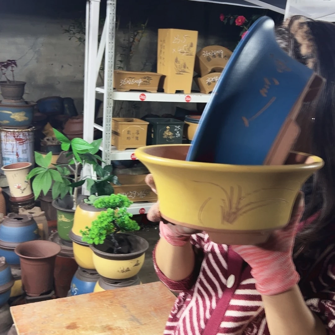 27蓝票口+327黄票口