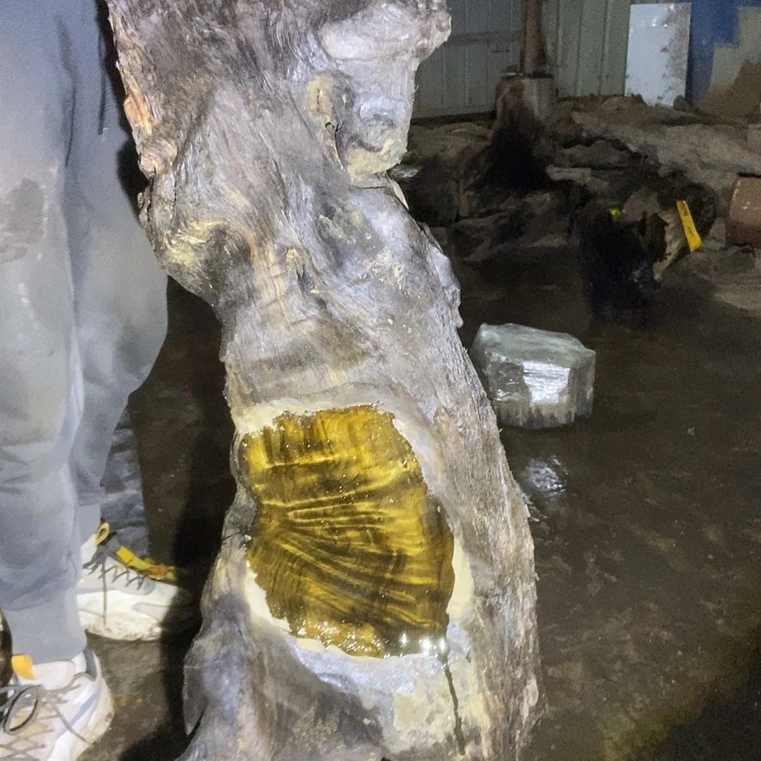 金丝楠阴沉木毛料