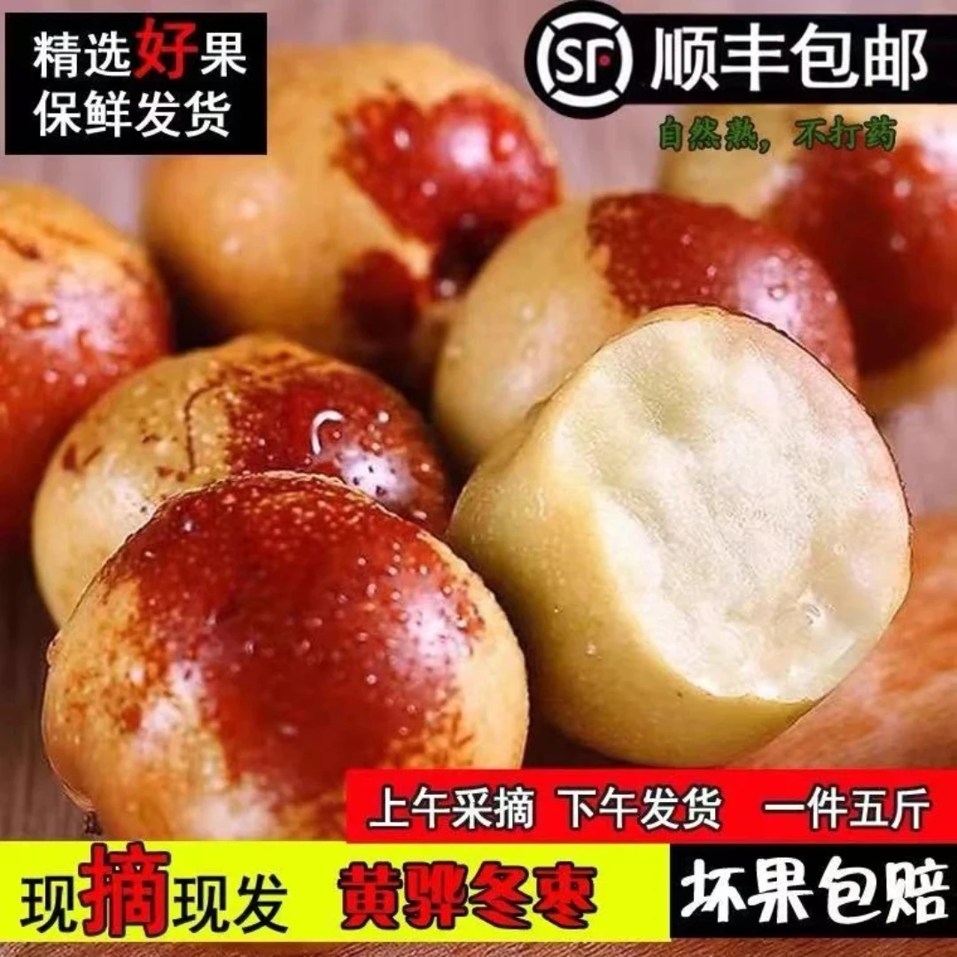 应急水果现摘现发黄骅孔店冬枣（中果）4.8斤到5斤