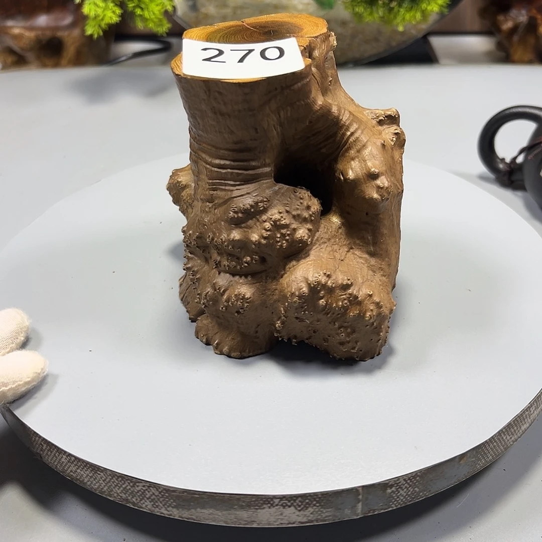 大果紫檀（缅甸花梨）石*