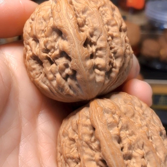 原生态：御尊（货头）