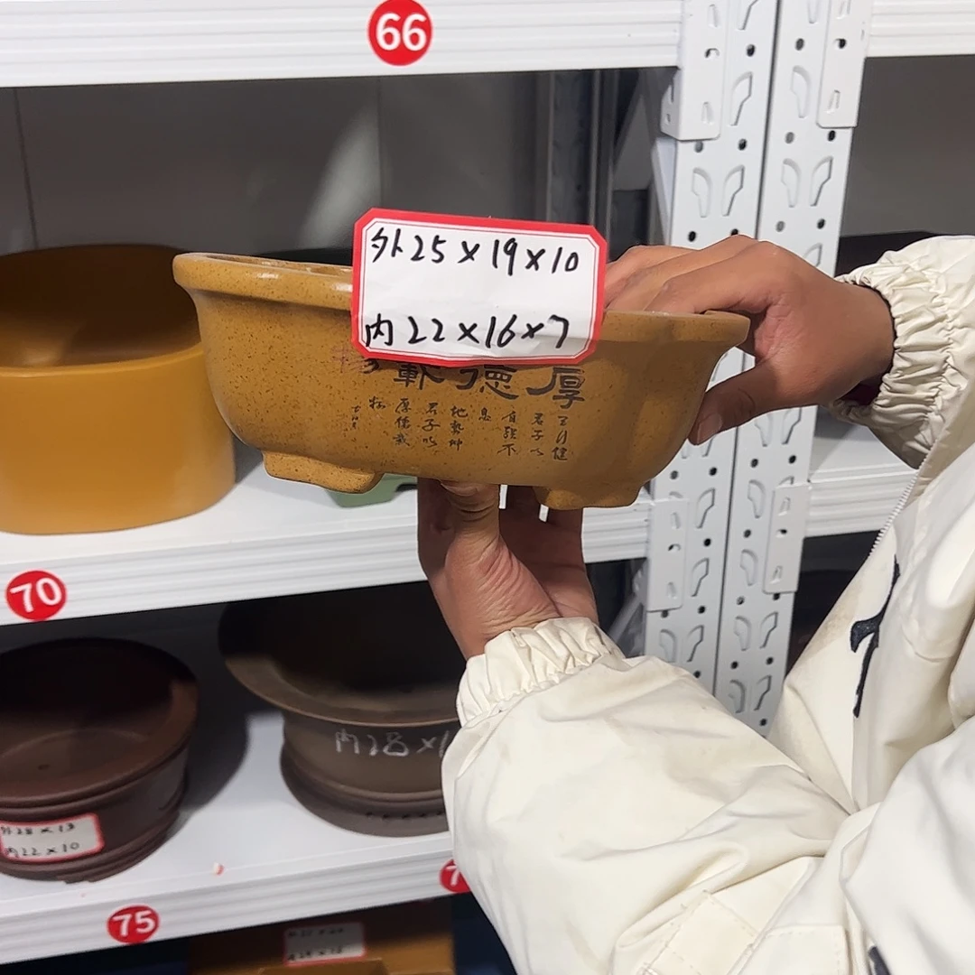 紫砂其他紫砂花盆