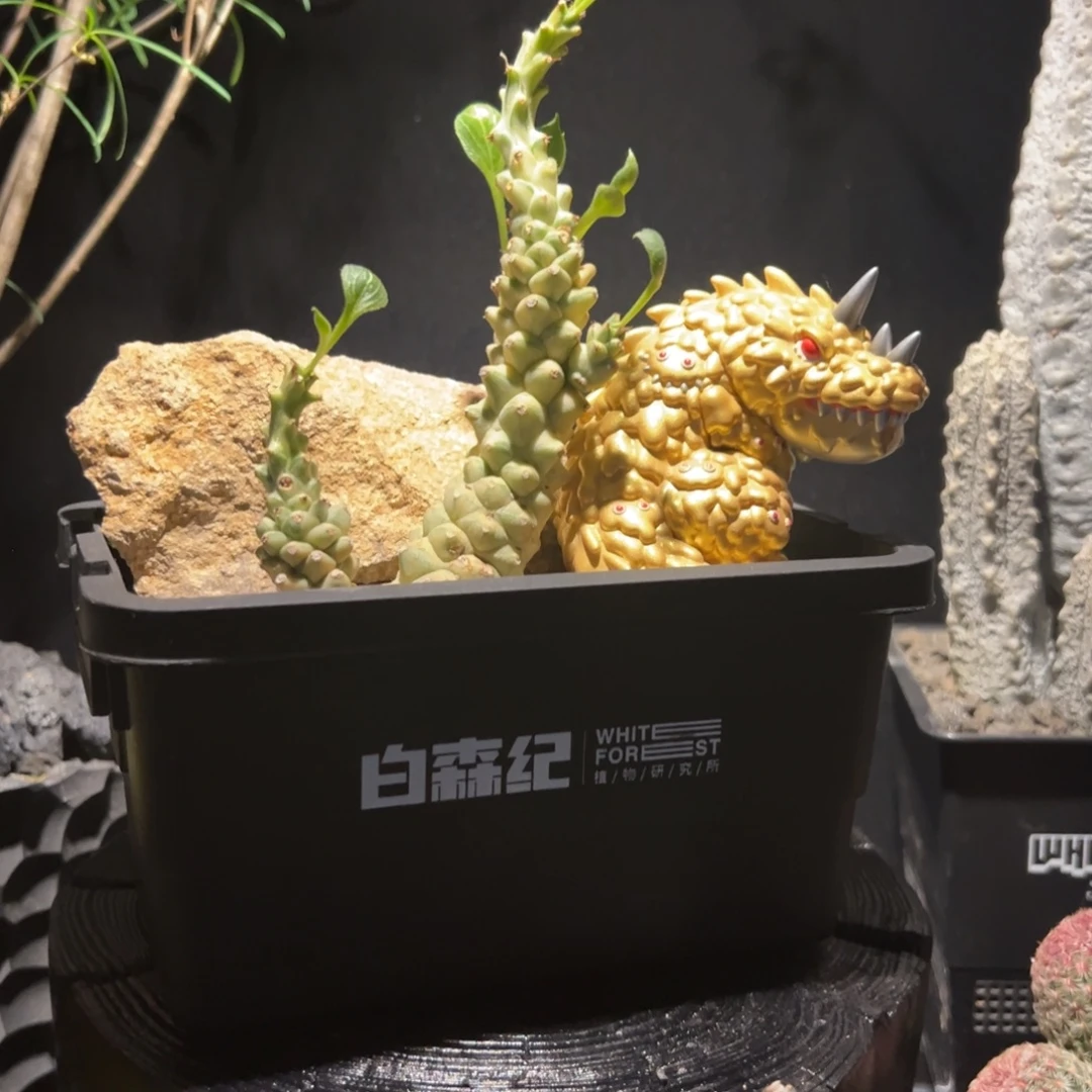 A39灵药守护兽创意微景观