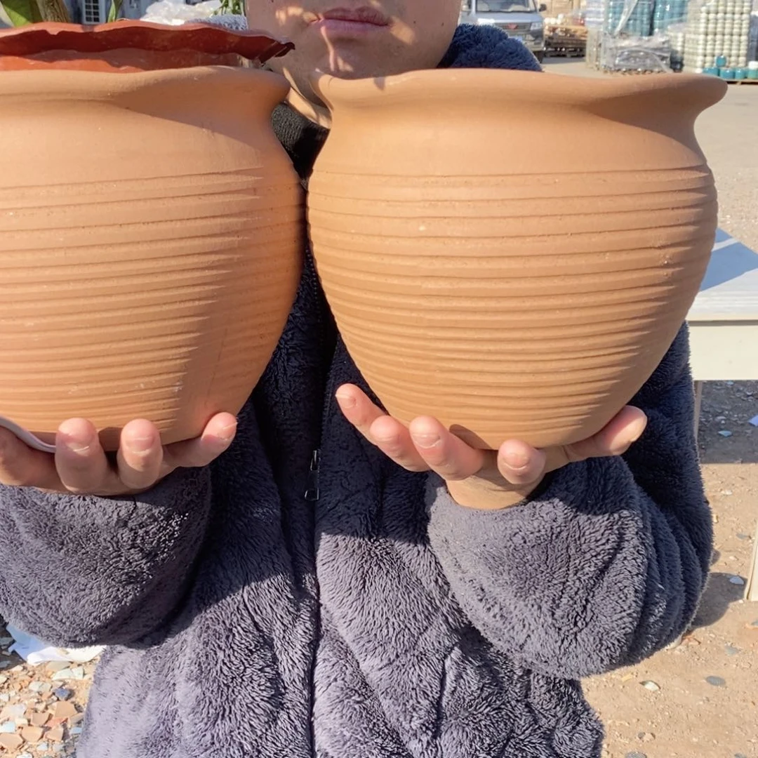 红陶彭于晏0209-1063