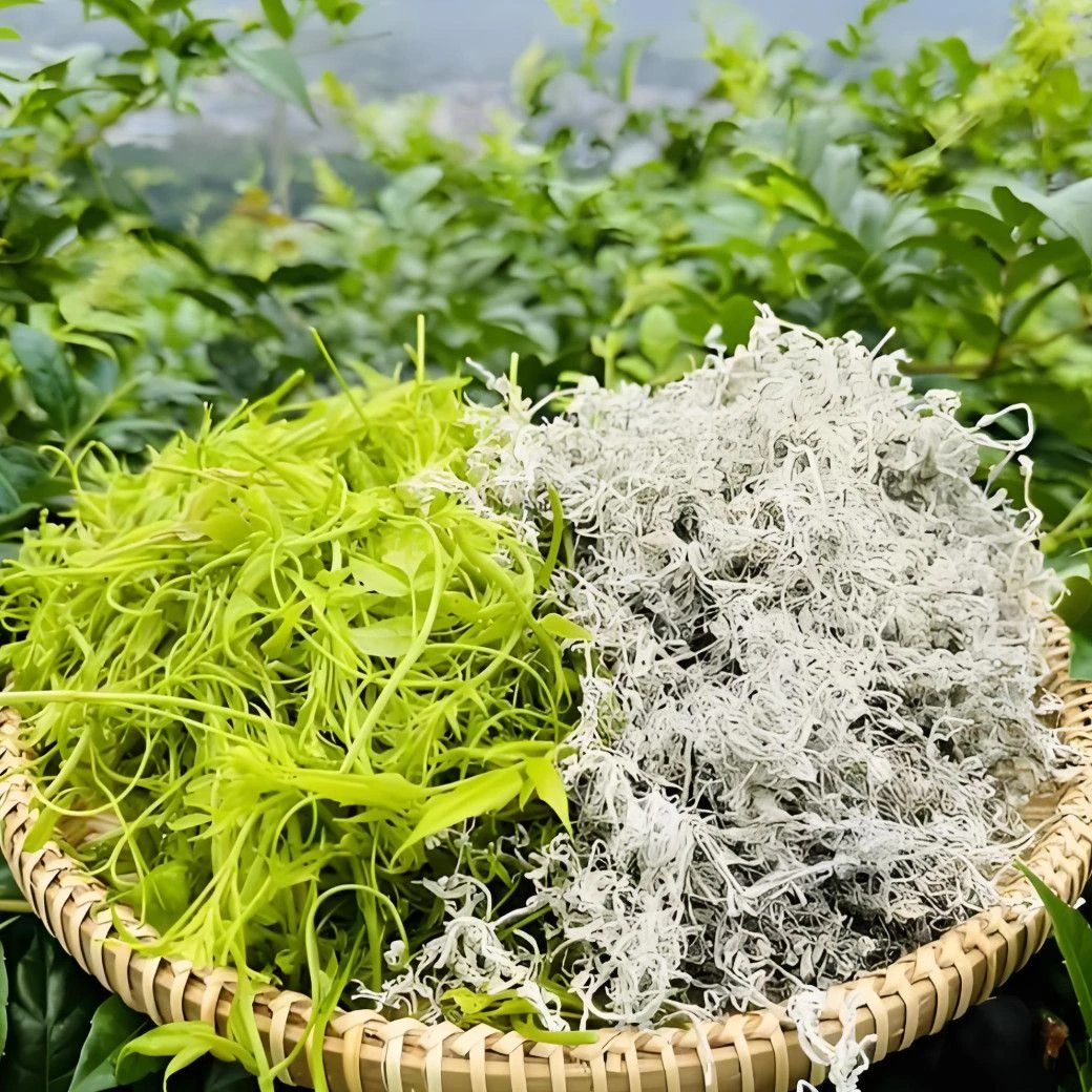 世界藤茶之乡来凤藤茶龙须100克/袋