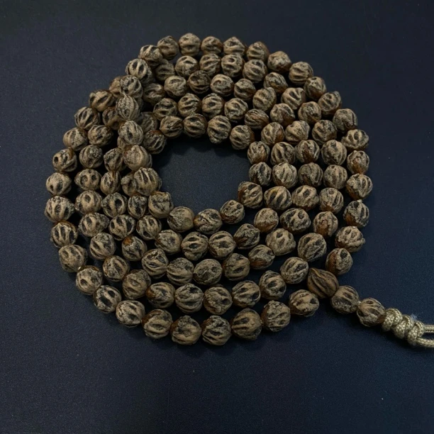 热振一哥《6360》定制级百香籽