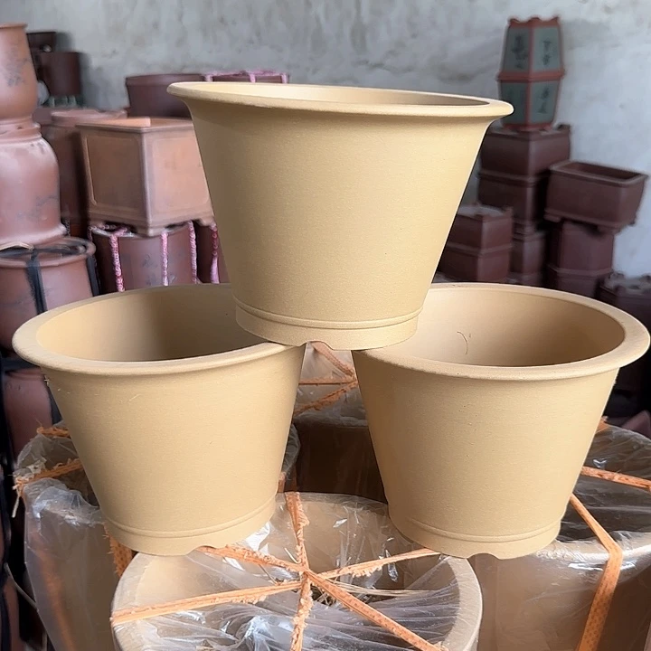 22×16三支黄段泥特价