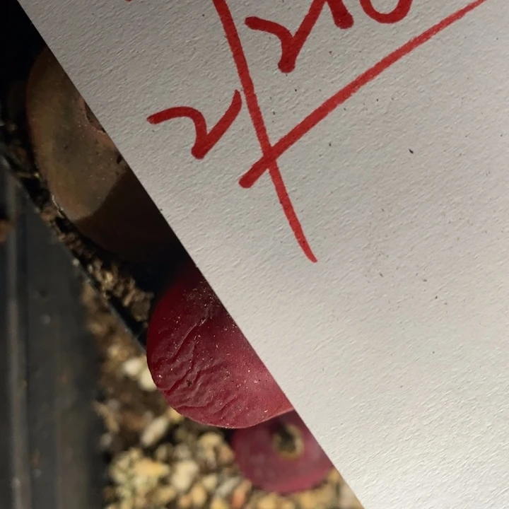 27218有伤一组一组