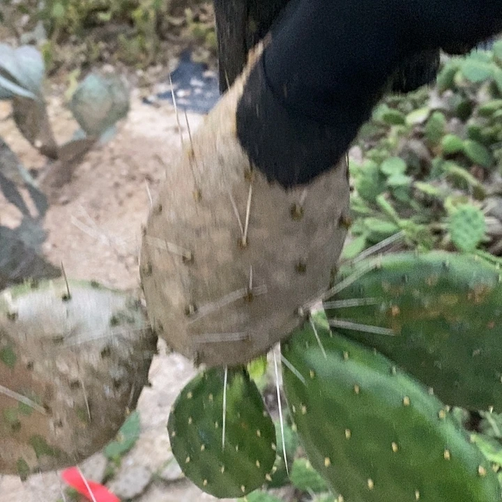 5319（00000000000000