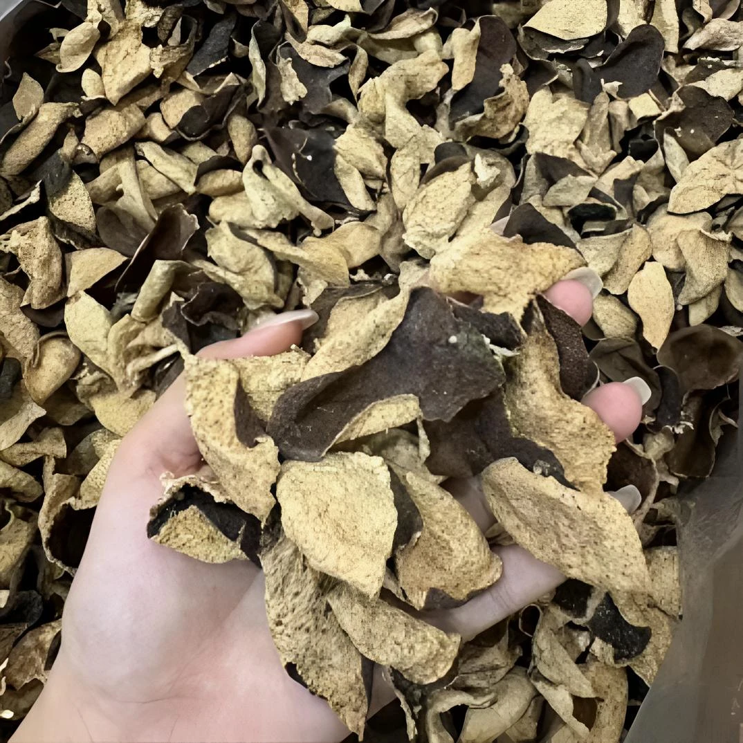 【口粮爆款】2011年天马圈枝大红皮断皮又甜又润蜜糖韵 新会陈皮