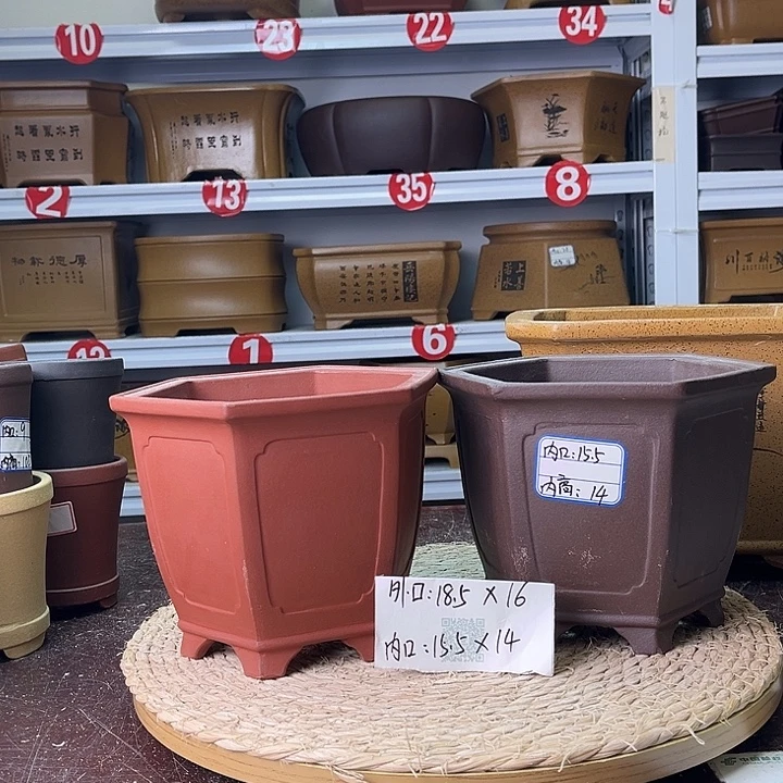 花盆紫砂你在一起