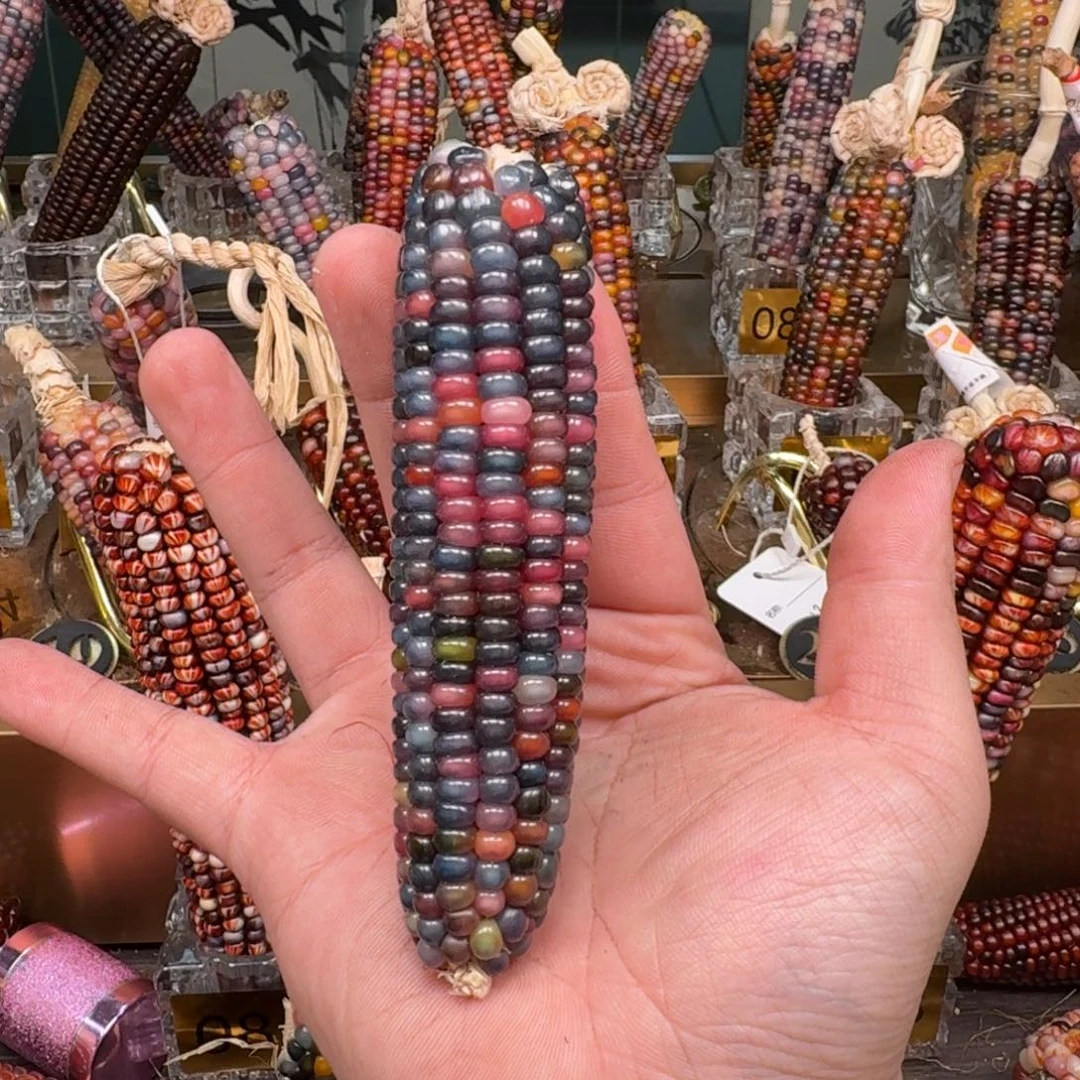 柏香籽/百香籽吊坠i****a