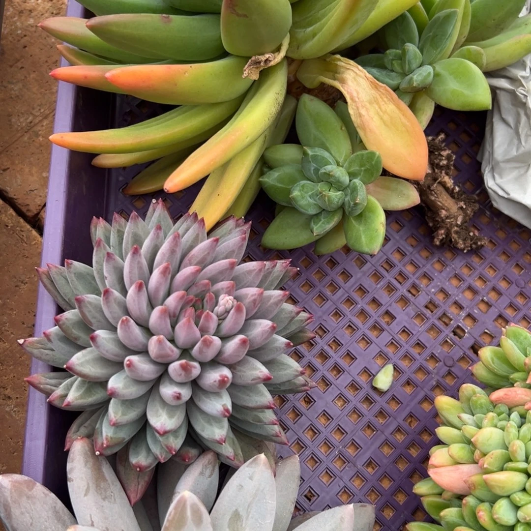 11181111111111111111