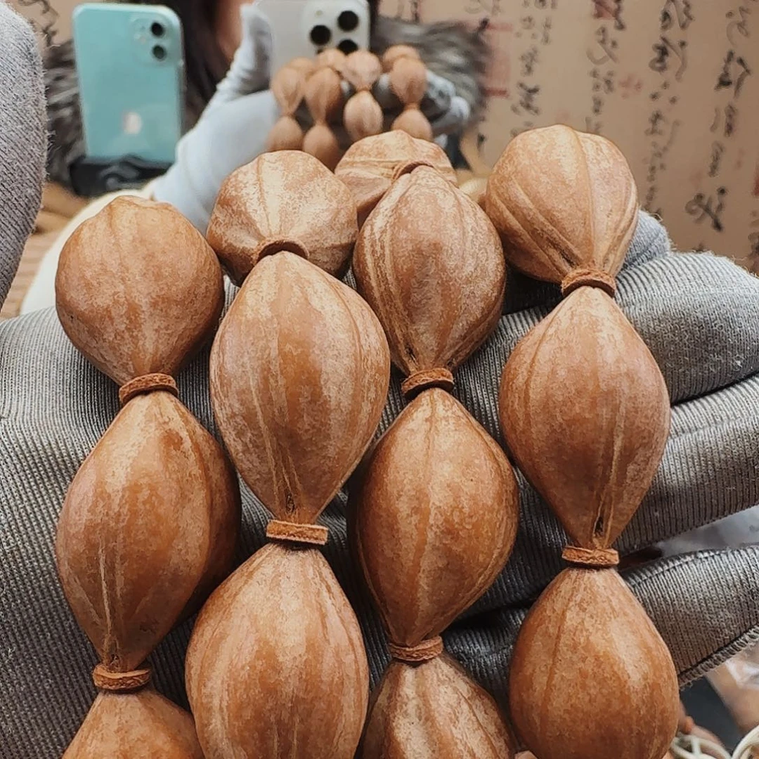 橄榄核手串鲨鱼呗