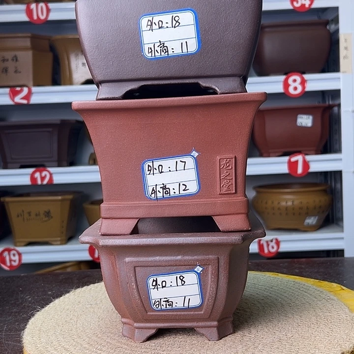 紫砂花盆蛇年大吉