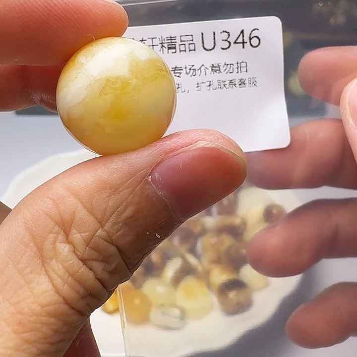 裸石琥珀未镶嵌琥珀