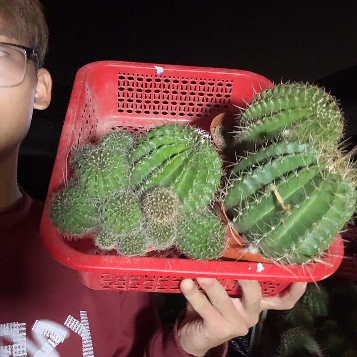 周***民无花朵彩草哈哈哈哈哈哈哈哈