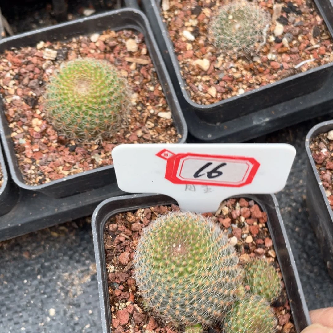 16 18网站建设的第一名