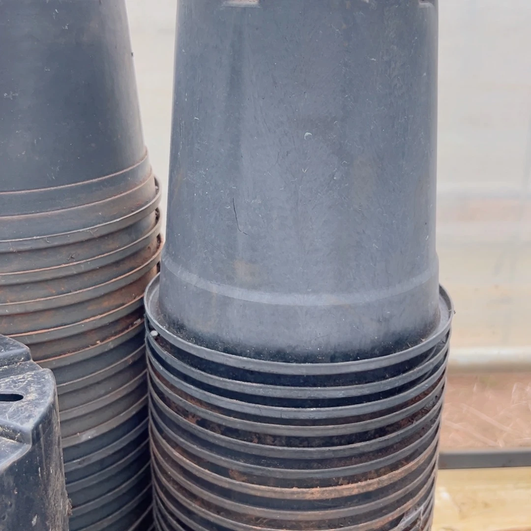 熟胶加仑盆18口径19高 10个