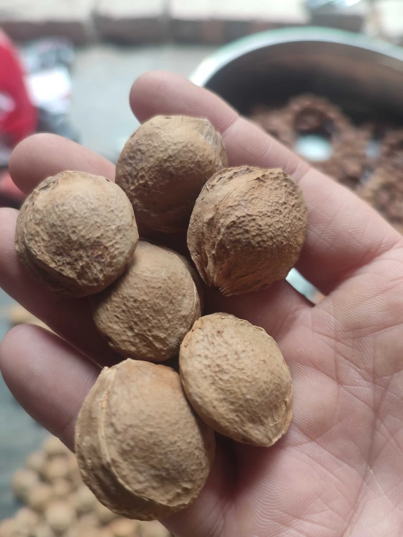 55元50颗大杏核宽 2.2-2.3