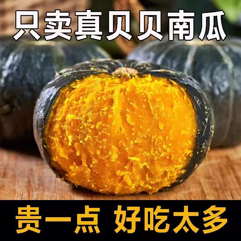 (新疆包邮)正宗贝贝南瓜粉糯香甜板栗味适合宝宝辅食新鲜现摘