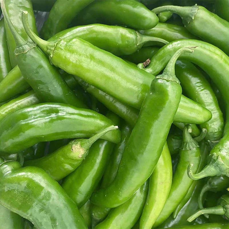 农家自种新鲜现摘青阳辣椒皮薄羊角椒美味蔬菜