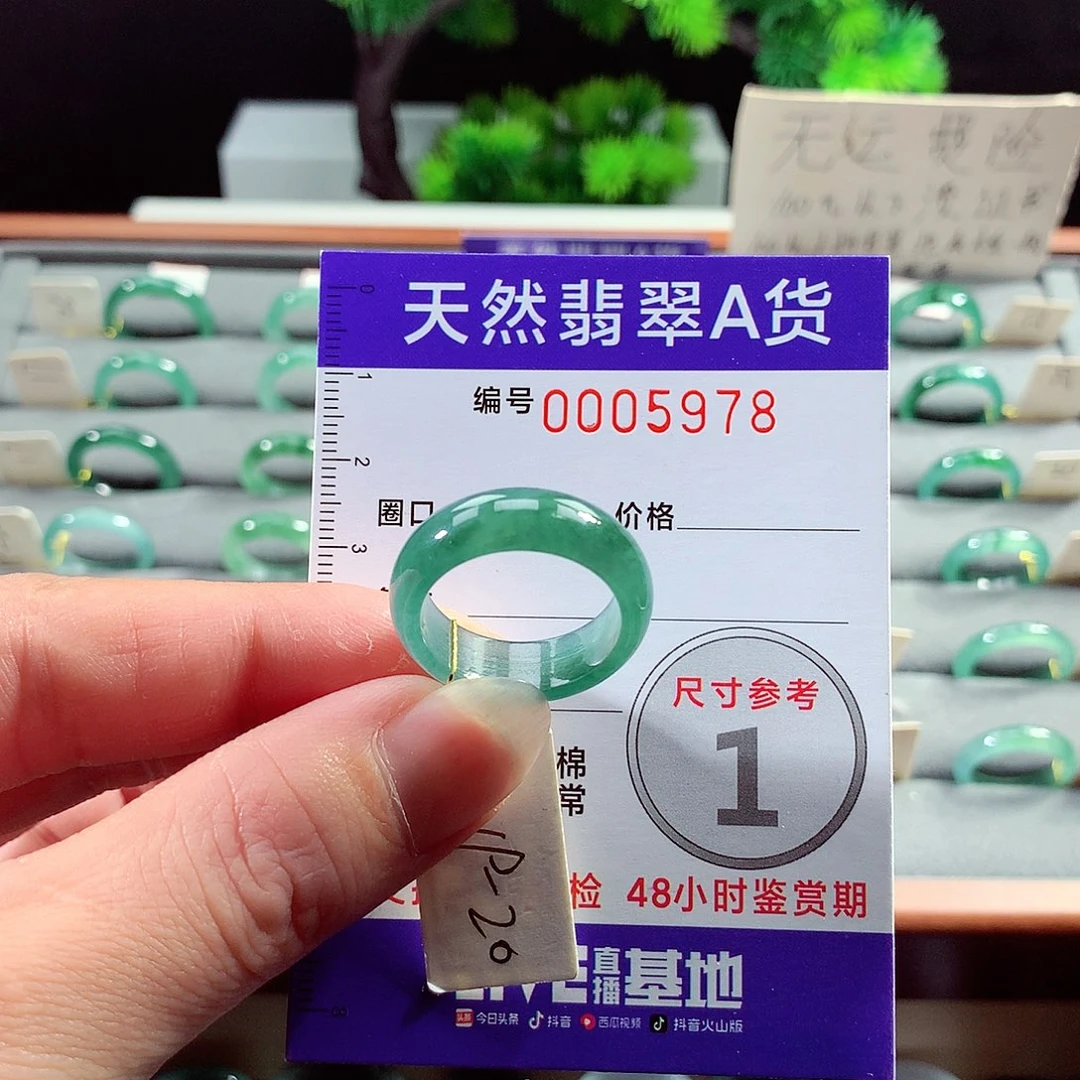 翡翠戒指未镶嵌20号