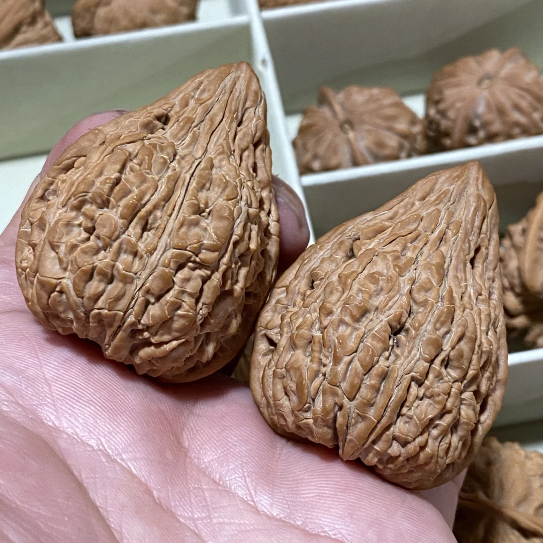 老树高端小众坐佛品像精美