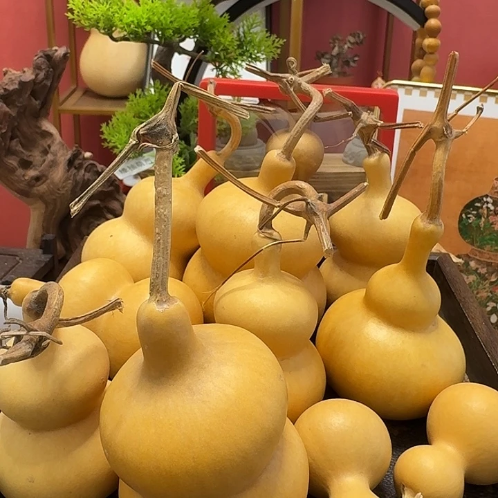 小八宝葫芦八宝葫芦