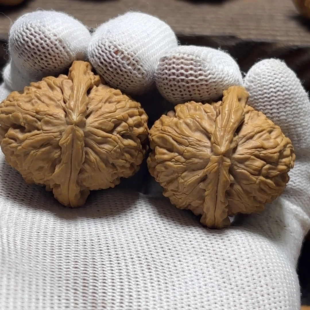 文玩核桃把件白狮子35边