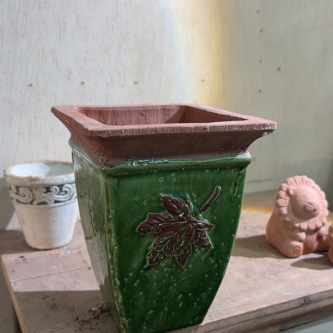 许纯的花房 冰裂枫叶绿色