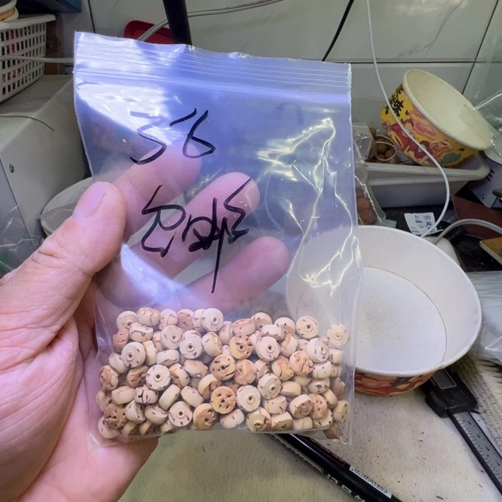 ?**?盘锦奶油核次福利