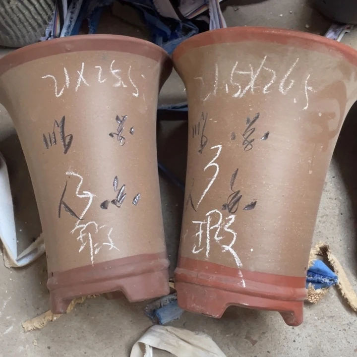 试试再说再说再说再说