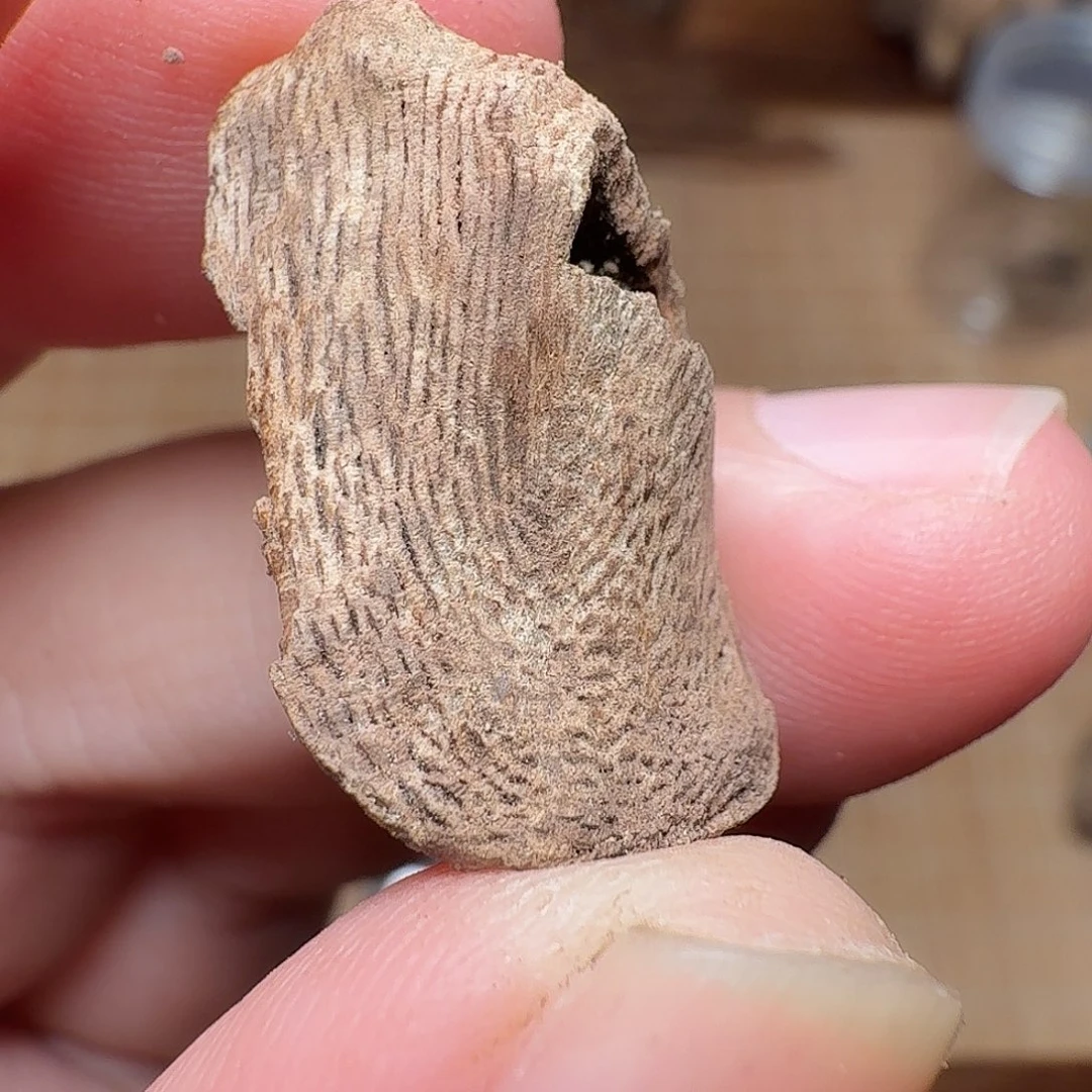 沉香国香香港土沉