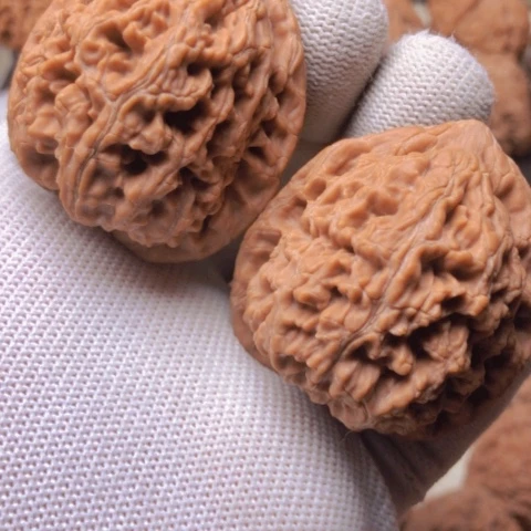 【闪购商品】桃核吊坠水龙纹狮子头