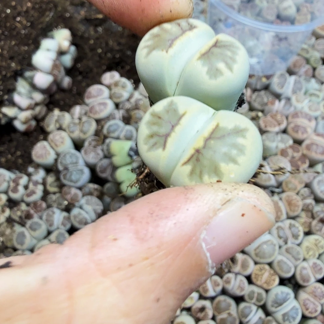 是一个不想被爱包围012不