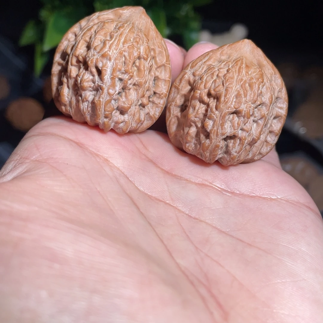 文玩核桃吊坠36赤龙