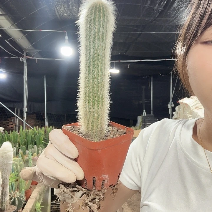 吹雪111111111111111111111