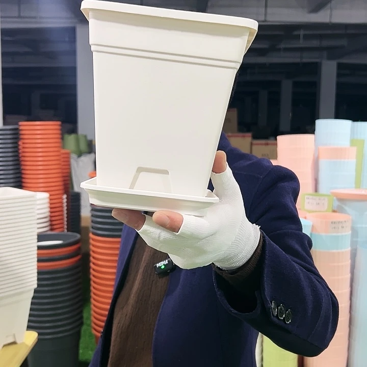 正品方盆口16高18白色5只带托